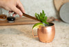 Moscow Mule